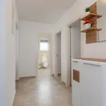 Apartament Lovely In With Wifi *